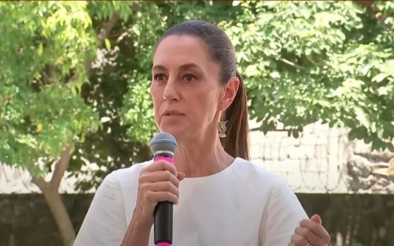 Que la OEA se guerde sus opiniones: Sheinbaum