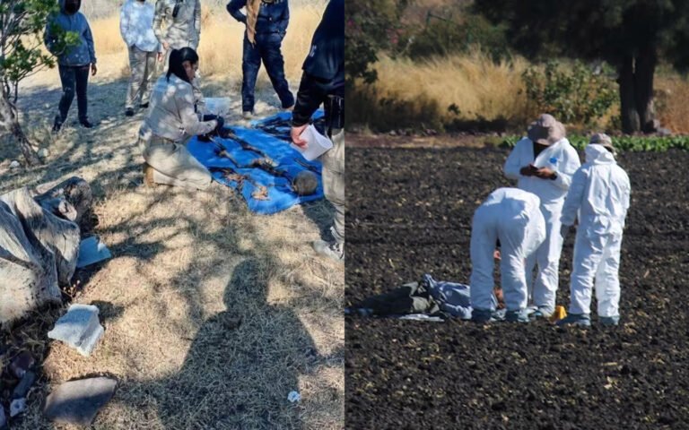 Hallan 20 cuerpos y campo de exterminio en 2 estados y gobierno insiste en rechazar informe de ONU